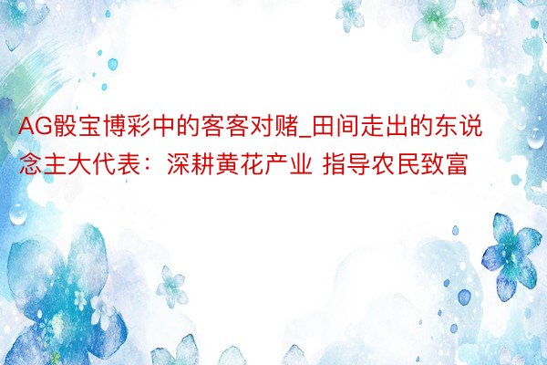 AG骰宝博彩中的客客对赌_田间走出的东说念主大代表：深耕黄花产业 指导农民致富