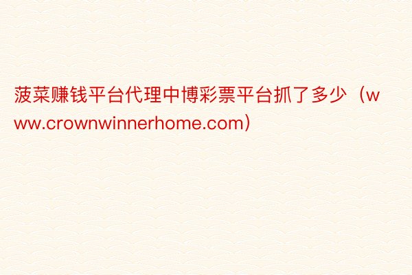 菠菜赚钱平台代理中博彩票平台抓了多少（www.crownwinnerhome.com）