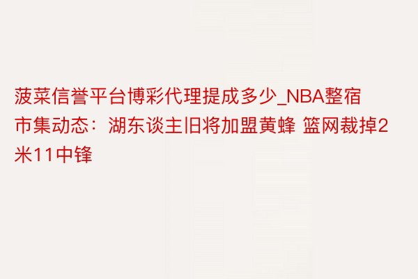 菠菜信誉平台博彩代理提成多少_NBA整宿市集动态：湖东谈主旧将加盟黄蜂 篮网裁掉2米11中锋