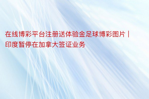 在线博彩平台注册送体验金足球博彩图片 | 印度暂停在加拿大签证业务